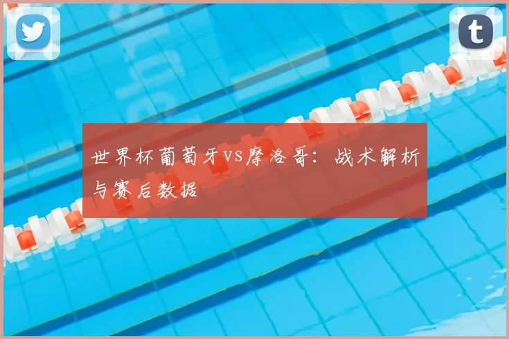 世界杯葡萄牙vs摩洛哥：战术解析与赛后数据
