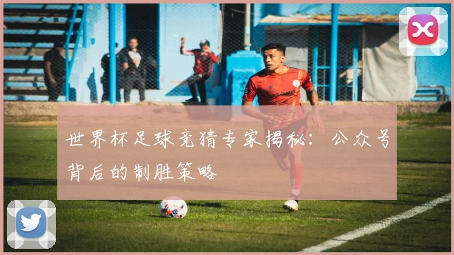 世界杯足球竞猜专家揭秘：公众号背后的制胜策略