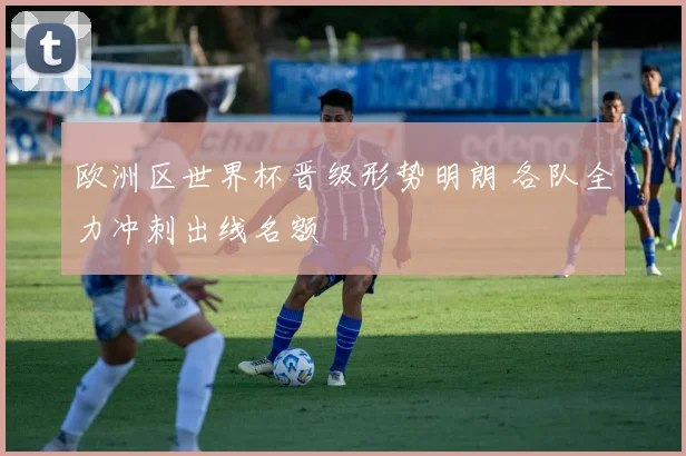 欧洲区世界杯晋级形势明朗 各队全力冲刺出线名额