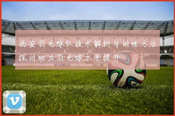 西安羽毛球队技术解析与训练方法探讨助力羽毛球水平提升