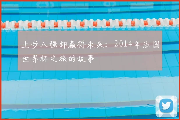 止步八强却赢得未来：2014年法国世界杯之旅的故事