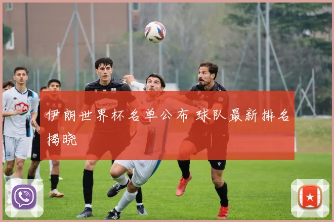 伊朗世界杯名单公布 球队最新排名揭晓