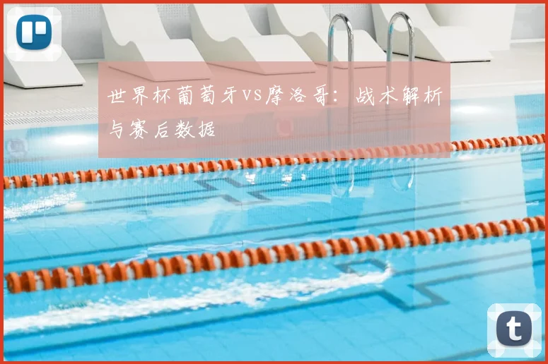 世界杯葡萄牙vs摩洛哥：战术解析与赛后数据
