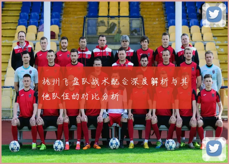杭州飞盘队战术配合深度解析与其他队伍的对比分析