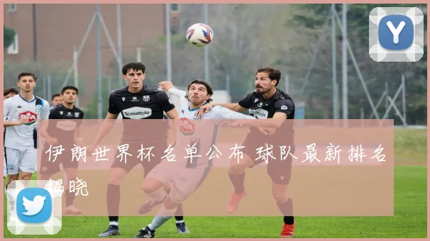 伊朗世界杯名单公布 球队最新排名揭晓