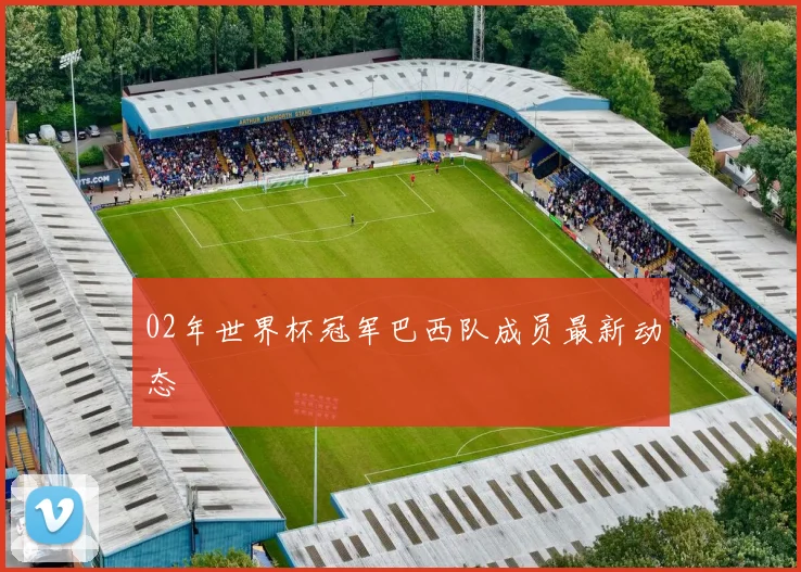 02年世界杯冠军巴西队成员最新动态